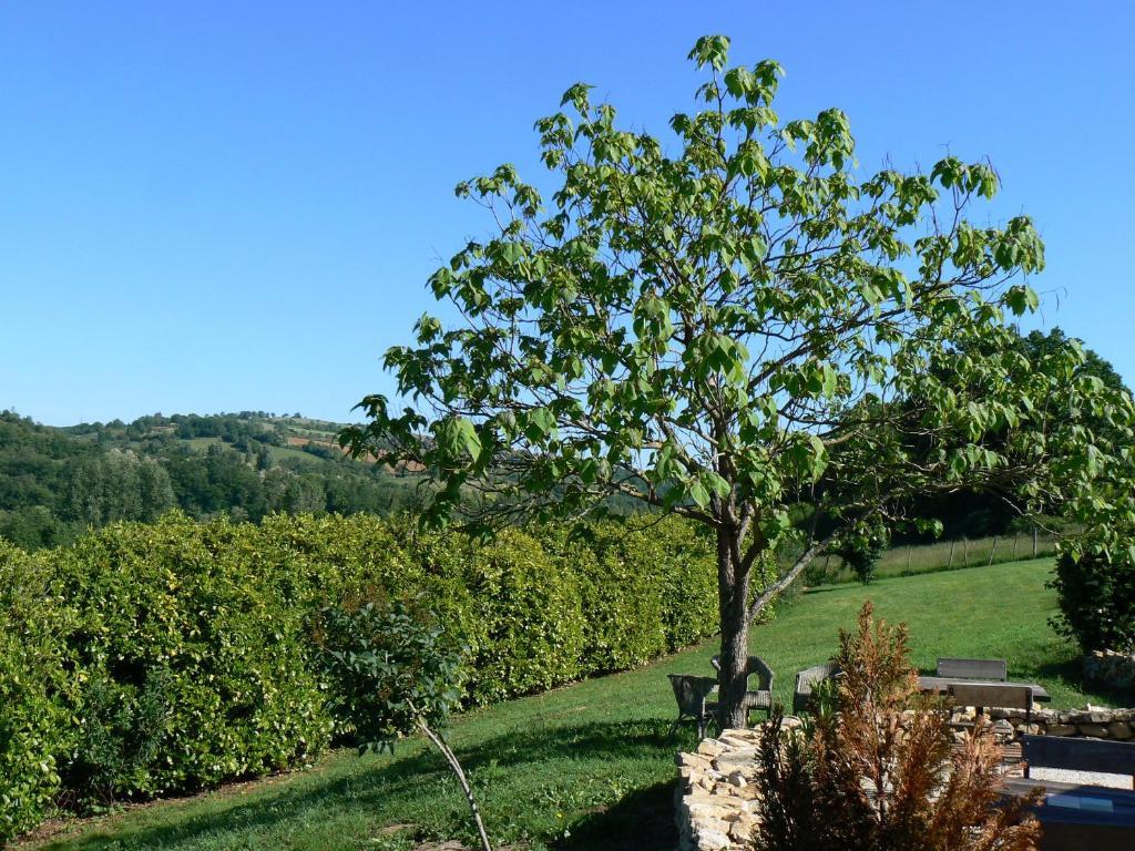 Hotel La Bastie D'Urfe Naussac  Room photo